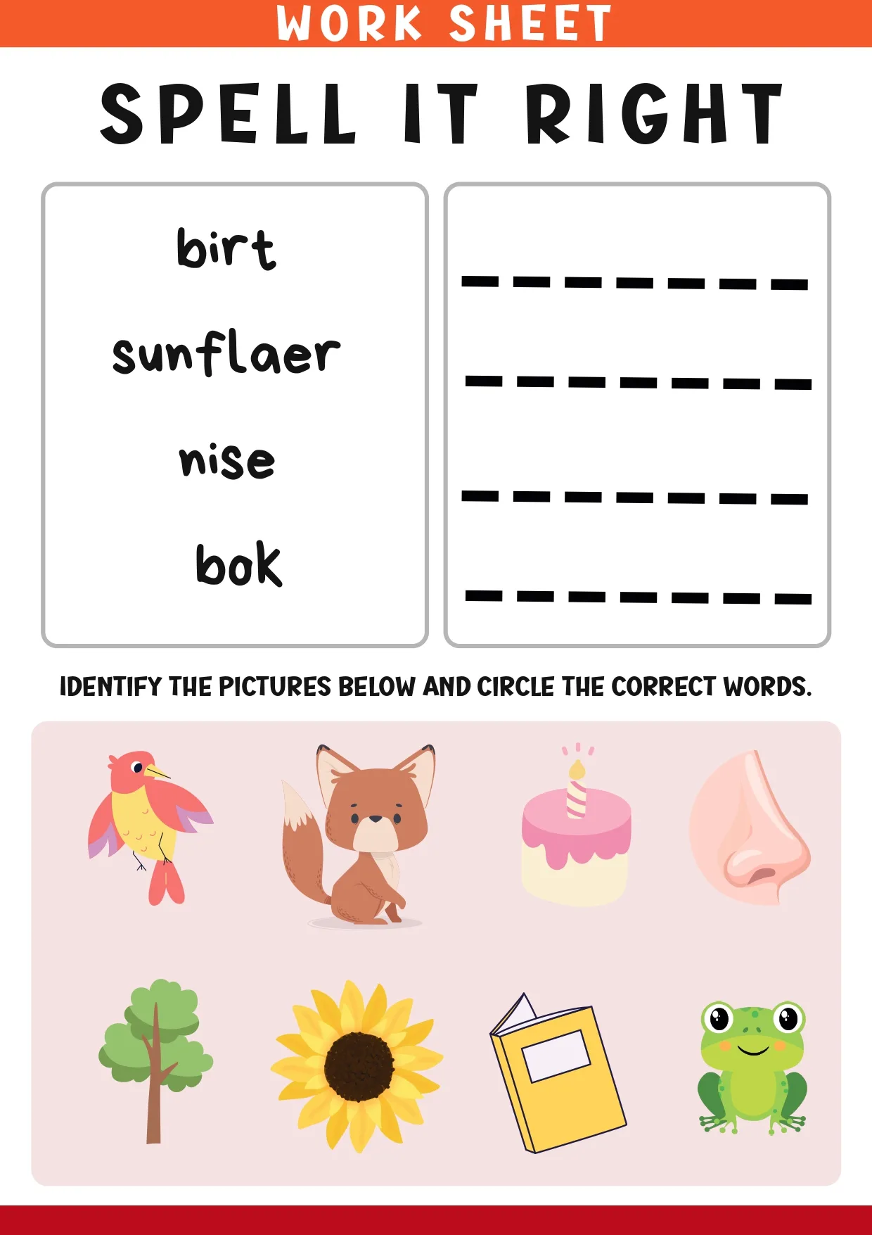 spell it right exercises (2)